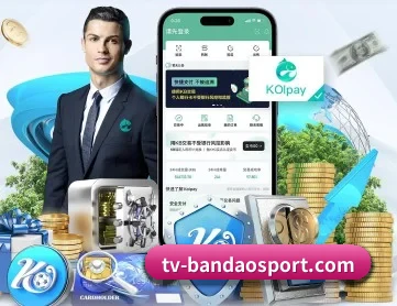半岛体育 APP 深度功能